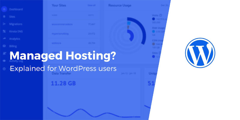Is Managed WordPress Hosting Worth the Extra Cost?